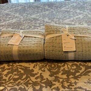 Pottery Barn Eucalyptus King Pickstitch Shams